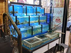 水产区-老东镇啤酒屋海鲜加工·蒸汽海鲜·海鲜烧烤(台东店)