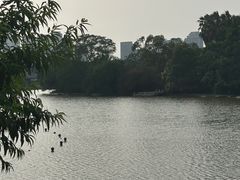 -江心屿景区