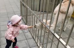 -萌宠亲子动物乐园(槐房万达店)