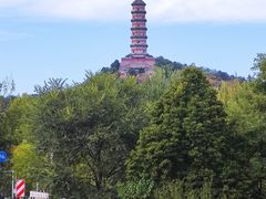 -北坞公园