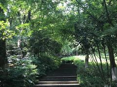 -杭州半山国家森林公园