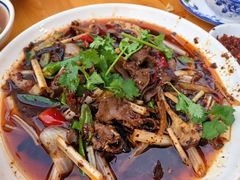 -小杨翘脚牛肉