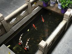 -唔呶喔哩酒家(生产街店)