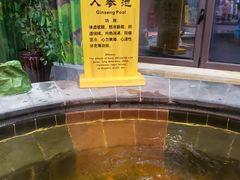 -长白山乐高美温泉度假酒店