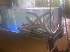 -本炙炭烤·蒲烧活鳗料理店(金沙洲店)
