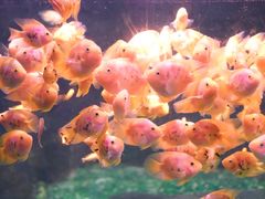 -常州海昌海洋探索馆