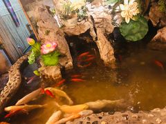 -多哥水傣味餐厅(司马巷店)