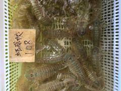 -红月湾海鲜饭店•沙滩海景(双月湾店)