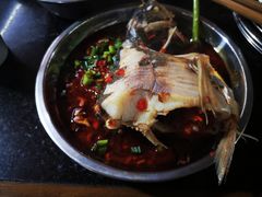 -老杨砂锅鱼庄