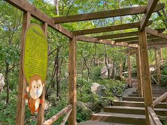 -大岭沟猕猴桃谷风景区