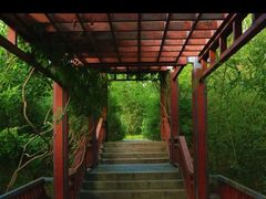 -北坞公园