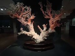 -台北故宫博物院