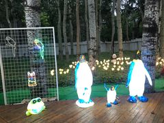 -枫花园汽车电影院(朝阳公园店)