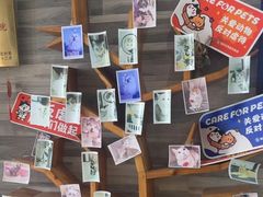 -思琪宠物医院(昆山花桥店)