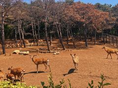 -沈阳森林动物园
