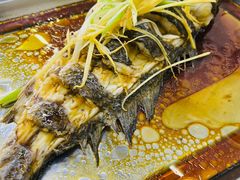 清蒸鲁子鱼-北戴河庆山饭店·海鲜砂锅粥(北戴河黑石路店)