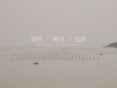 -北岐滩涂