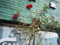 -参差咖啡(水果湖公园店)