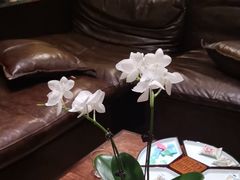 -三只耳火锅(宽窄巷子店)