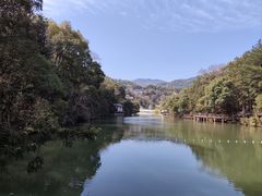 -洪崖丹井