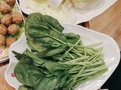 -芦月轩羊蝎子(劲松店)