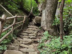 -王顺山国家森林公园