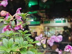 -谷咖啡·鲜花绿植花园餐厅