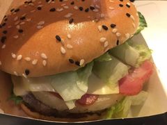 -麦当劳(廊坊新华路店)