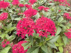 -沈阳植物园