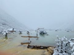 -黄龙山原始森林景区