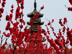 -上海市龙华烈士陵园