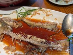 -蓉和妈妈菜·芙蓉花开(高新店)