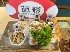-菌彩云南野生菌火锅(新亚洲店)