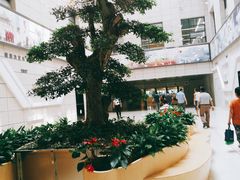 -泰州市人民医院(总院区)