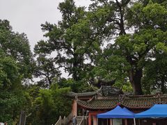 -南华禅寺