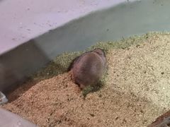-正佳雨林生态植物园
