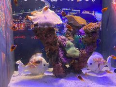 -烟台海昌鲸鲨海洋公园