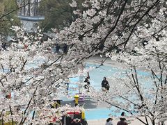-杭州少年儿童公园