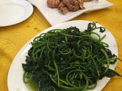 -鸿达渔港