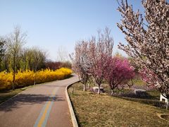 -永定河休闲森林公园