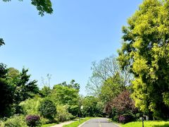 -张坝桂圆林公园