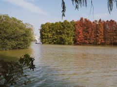 -上海海湾国家森林公园