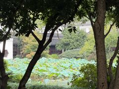 -杭州西子湖四季酒店-WL BISTRO西湖餐厅