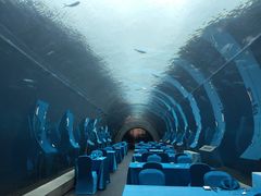 -海棠湾洲际-涛·海底餐厅·美人鱼·自助餐·海底隧道