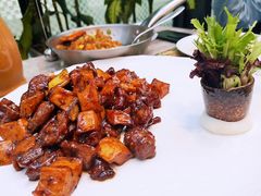 -大树餐厅(红旗街万达店)