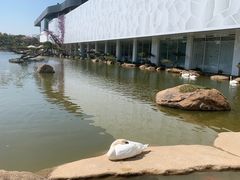 -罗红摄影艺术馆