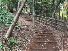 -汉拿树木园