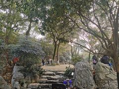 -白沙古井