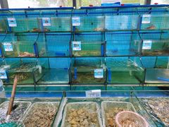 水产区-锦里海景海鲜餐厅.三亚老字号(亚龙湾中心广场店)