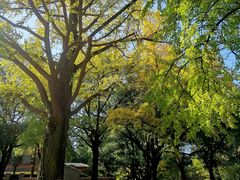 -苏州大学(天赐庄校区)